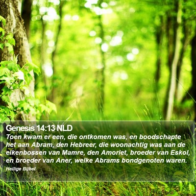 Genesis 14:13 NLD Bible Verse Image