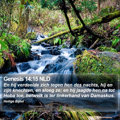 Genesis 14:15 NLD Bible Verse Image