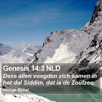 Genesis 14:3 NLD Bible Verse Image