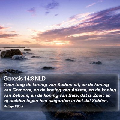 Genesis 14:8 NLD Bible Verse Image