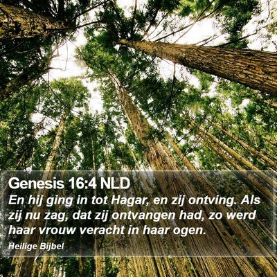 Genesis 16:4 NLD Bible Verse Image