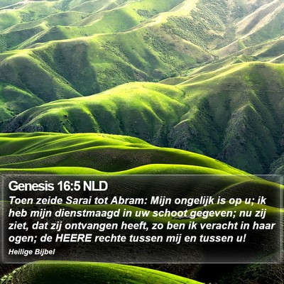 Genesis 16:5 NLD Bible Verse Image