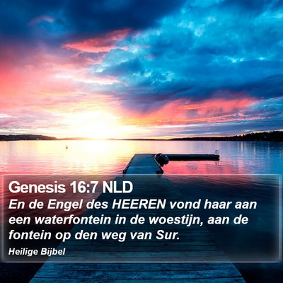 Genesis 16:7 NLD Bible Verse Image