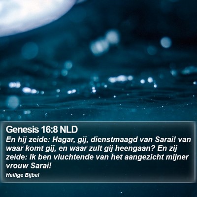 Genesis 16:8 NLD Bible Verse Image