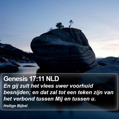 Genesis 17:11 NLD Bible Verse Image