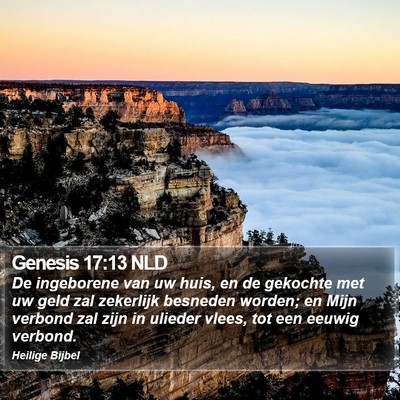 Genesis 17:13 NLD Bible Verse Image