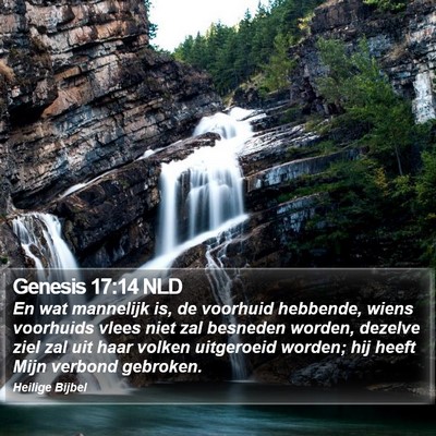 Genesis 17:14 NLD Bible Verse Image