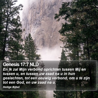 Genesis 17:7 NLD Bible Verse Image
