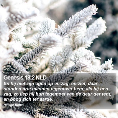 Genesis 18:2 NLD Bible Verse Image