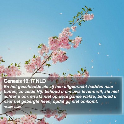 Genesis 19:17 NLD Bible Verse Image