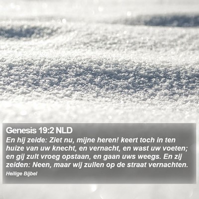 Genesis 19:2 NLD Bible Verse Image