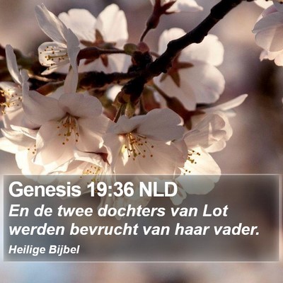 Genesis 19:36 NLD Bible Verse Image