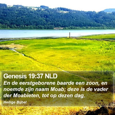 Genesis 19:37 NLD Bible Verse Image
