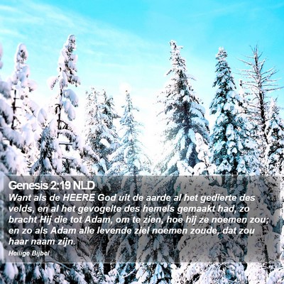 Genesis 2:19 NLD Bible Verse Image