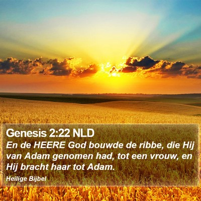 Genesis 2:22 NLD Bible Verse Image