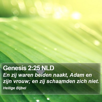 Genesis 2:25 NLD Bible Verse Image