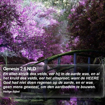 Genesis 2:5 NLD Bible Verse Image