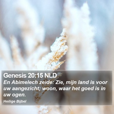 Genesis 20:15 NLD Bible Verse Image