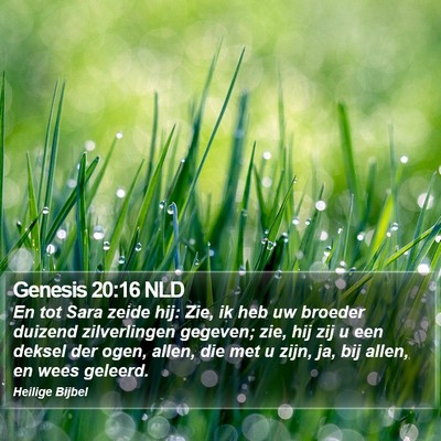 Genesis 20:16 NLD Bible Verse Image