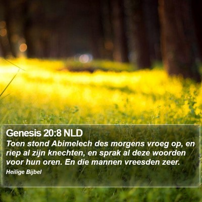 Genesis 20:8 NLD Bible Verse Image