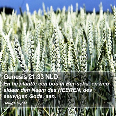 Genesis 21:33 NLD Bible Verse Image