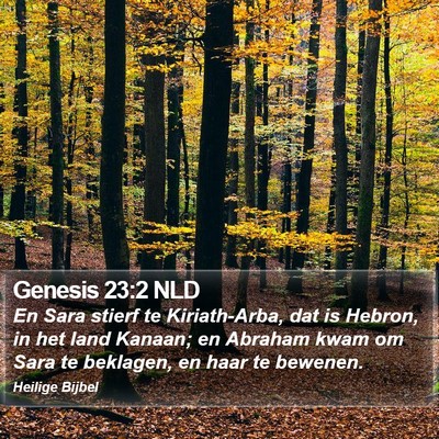 Genesis 23:2 NLD Bible Verse Image
