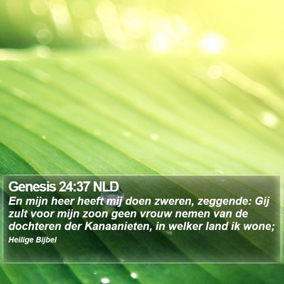 Genesis 24:37 NLD Bible Verse Image