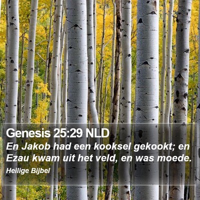 Genesis 25:29 NLD Bible Verse Image