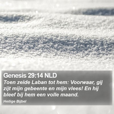 Genesis 29:14 NLD Bible Verse Image