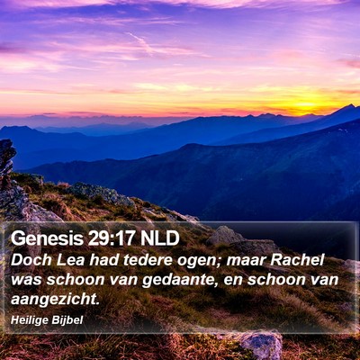 Genesis 29:17 NLD Bible Verse Image