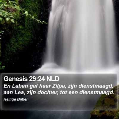 Genesis 29:24 NLD Bible Verse Image