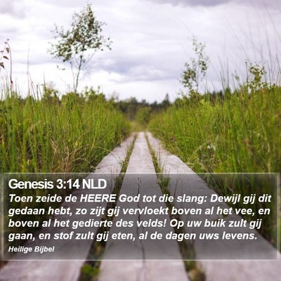 Genesis 3:14 NLD Bible Verse Image