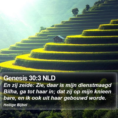 Genesis 30:3 NLD Bible Verse Image
