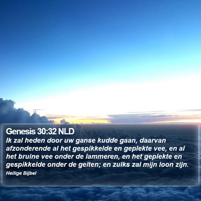 Genesis 30:32 NLD Bible Verse Image