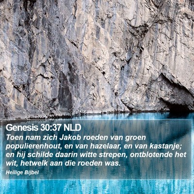 Genesis 30:37 NLD Bible Verse Image