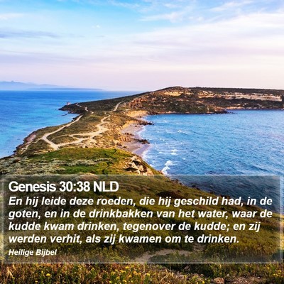 Genesis 30:38 NLD Bible Verse Image