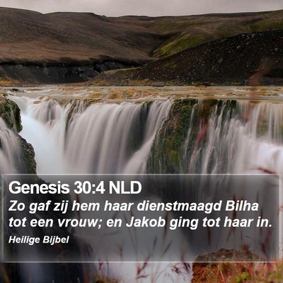 Genesis 30:4 NLD Bible Verse Image