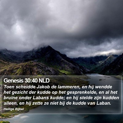 Genesis 30:40 NLD Bible Verse Image