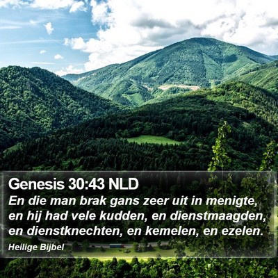 Genesis 30:43 NLD Bible Verse Image