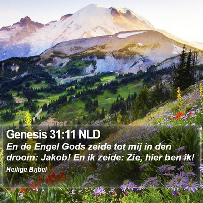 Genesis 31:11 NLD Bible Verse Image