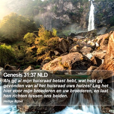 Genesis 31:37 NLD Bible Verse Image