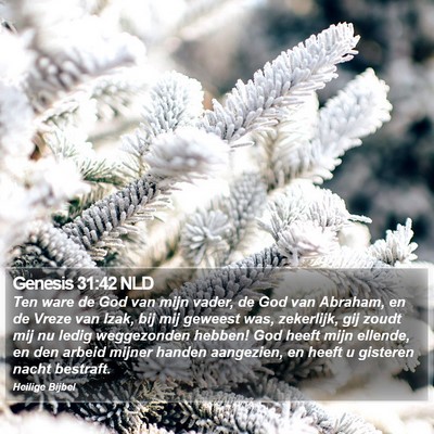 Genesis 31:42 NLD Bible Verse Image