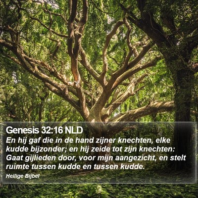 Genesis 32:16 NLD Bible Verse Image