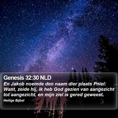 Genesis 32:30 NLD Bible Verse Image