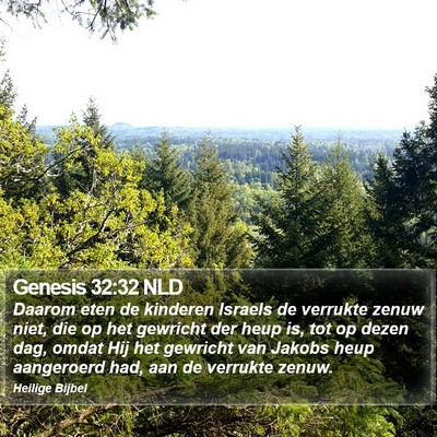 Genesis 32:32 NLD Bible Verse Image