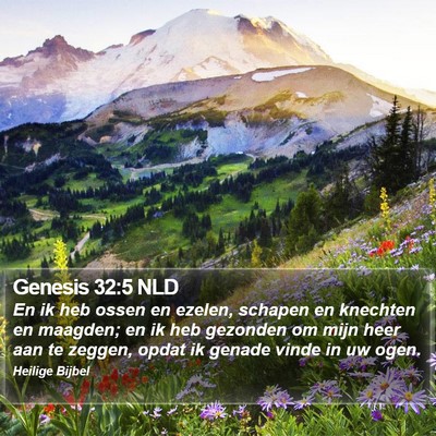 Genesis 32:5 NLD Bible Verse Image
