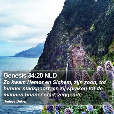 Genesis 34:20 NLD Bible Verse Image