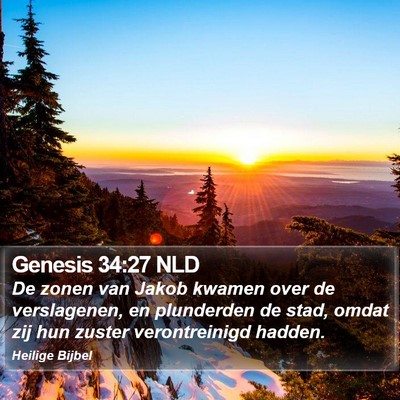 Genesis 34:27 NLD Bible Verse Image
