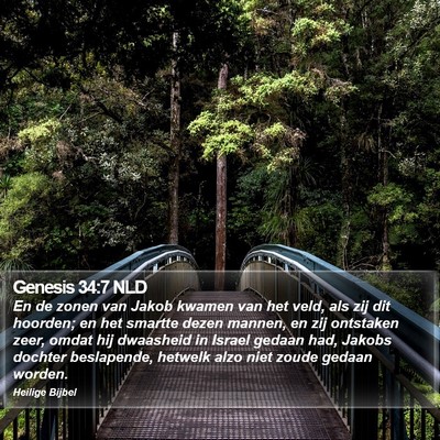 Genesis 34:7 NLD Bible Verse Image