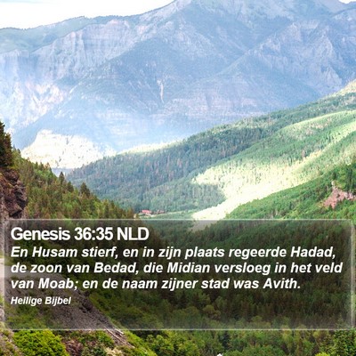 Genesis 36:35 NLD Bible Verse Image